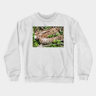 Female Adder digesting and basking Crewneck Sweatshirt